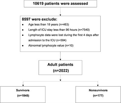 Lymphocyte trajectories are associated with prognosis in critically ill patients: A convenient way to monitor immune status